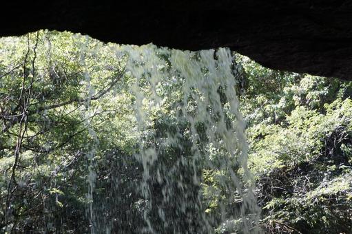 滝 滝の写真