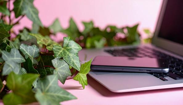 スマートフォンとノートパソコン　アイビーの写真