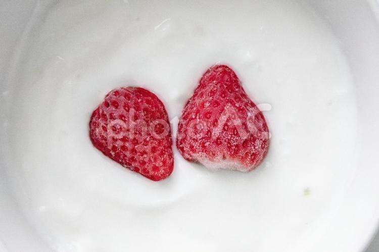 いちごとヨーグルト ヨーグルト,いちご,果物の写真素材
