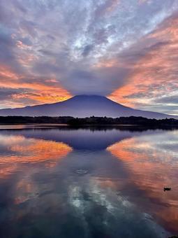 田貫湖から見る朝焼けと富士山 田貫湖から見る朝焼けと富士山 富士山,田貫湖,湖の写真素材