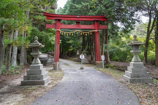 滋賀 大笹原神社 大鳥居 滋賀 大笹原神社 大鳥居 大笹原神社,大笹原,神社の写真素材