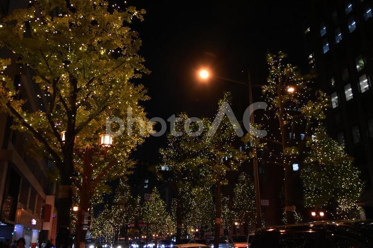 2023御堂筋イルミネーション 御堂筋,イルミネーション,夜景の写真素材
