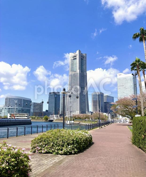 横浜　風景 横浜,みなとみらい,リゾートの写真素材
