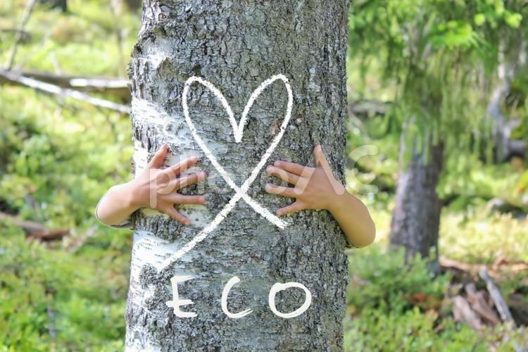 白樺の木を抱きしめる子供の手(ECO) エコ,eco,ハートマークの写真素材