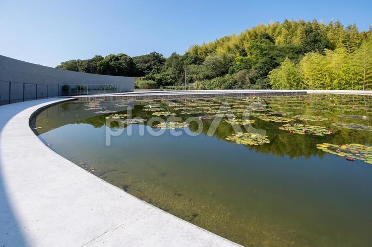 ［兵庫県淡路市］本福寺｜水御堂 淡路島,本福寺,水御堂の写真素材