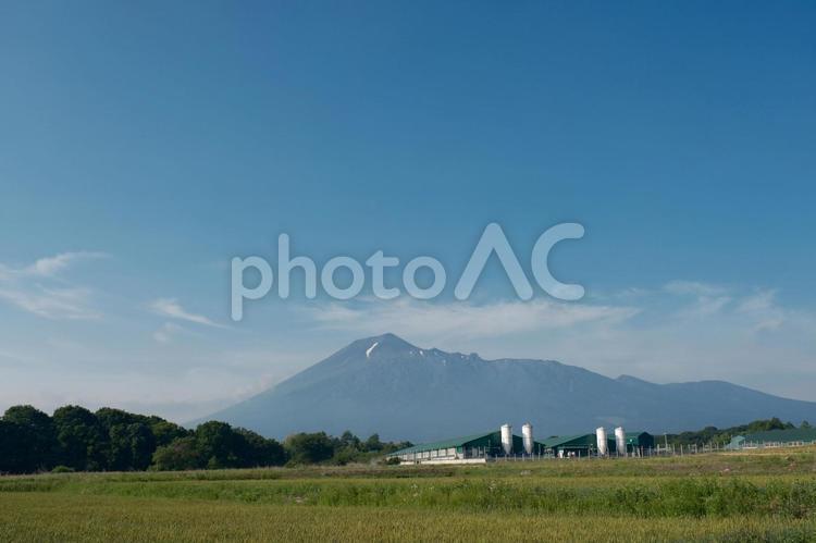 牧歌的な八幡平高原の風景 八幡平,八幡平市,十和田八幡平国立公園の写真素材
