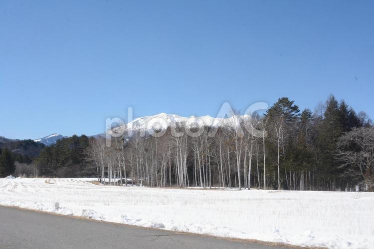 木曽馬の里 風景,雪,開田高原の写真素材