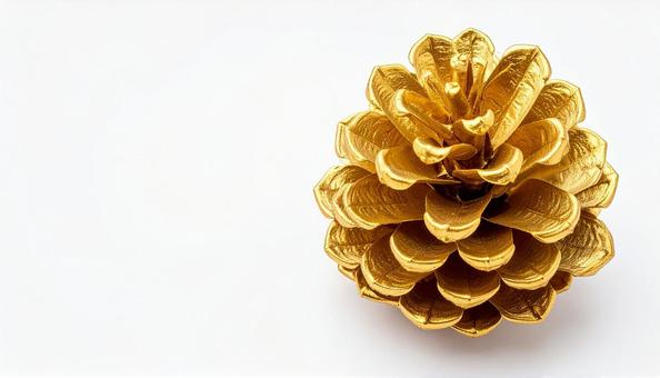 金色 松ぼっくり 白背景 クリスマス飾り 金色 松ぼっくり 白背景 クリスマス飾りの写真