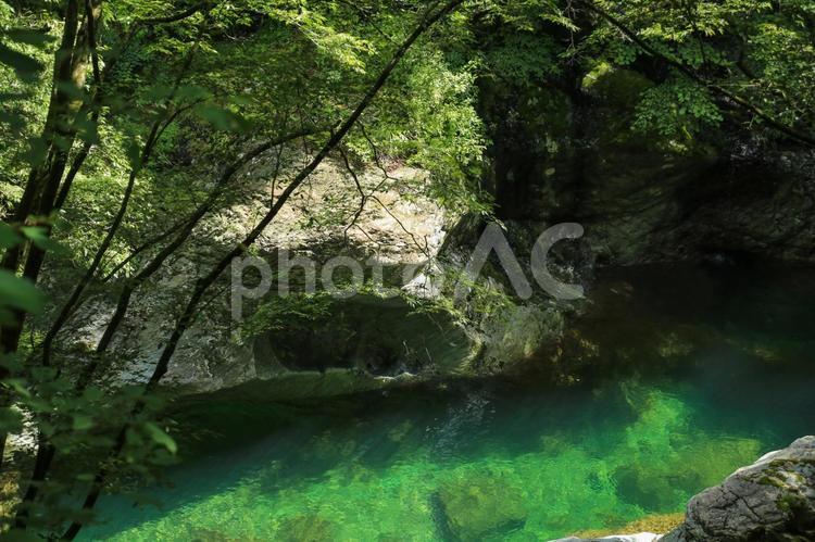 愛媛県久万高原町　面河渓の風景 面河渓谷,面河渓,渓谷の写真素材