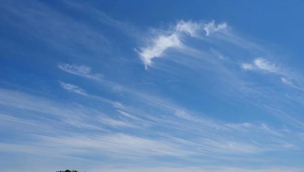 東京の初夏の空・江戸川区平井の上空 東京の初夏の空・江戸川区平井の上空の写真