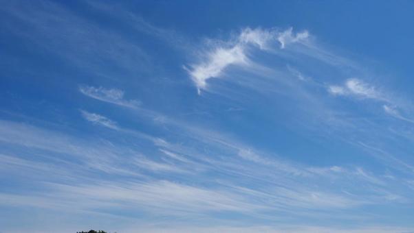 Photo, ciel bleu, jour ensoleillé, météo, 