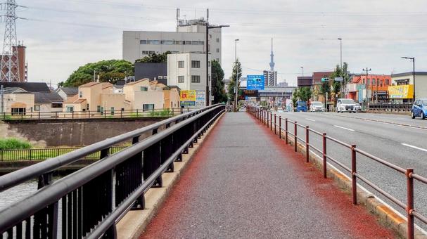 一之江橋&スカイツリー(江戸川区一之江) 一之江橋&スカイツリー(江戸川区一之江) 秋,一之江橋,東京スカイツリーの写真素材