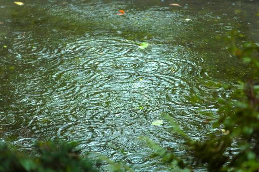 雨の波形3-自然の美 雨の波形3-自然の美 雨,雨の波形,波形の写真素材