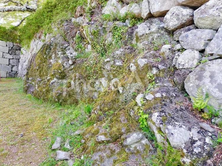 篠山城址　石垣 篠山城址,石垣,丹波篠山市の写真素材