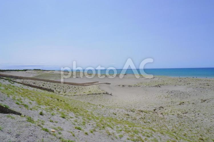 中田島砂丘③　静岡県浜松市 自然,風景,景色の写真素材