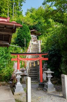姫宮神社⑸ 姫宮神社⑸の写真