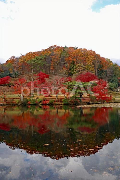 旅行や秋のイメージ 旅,旅行,観光の写真素材