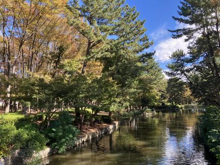 緑あふれる公園 湖 緑あふれる公園 湖の写真