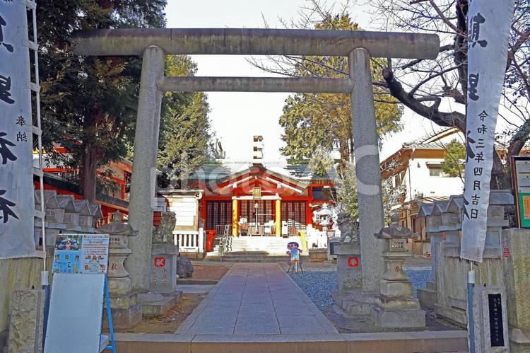 熊野町熊野神社（板橋） 熊野神社,伊佐奈美命,速玉之男命の写真素材