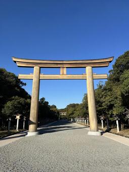 橿原神宮参道鳥居 鳥居,参道,橿原神宮の写真素材