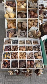 木の実の箱 手芸の材料 木の実の箱 手芸の材料 実,箱,ホビーの写真素材