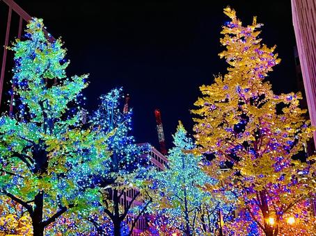 イルミネーション クリスマス,イルミネーション,御堂筋の写真素材