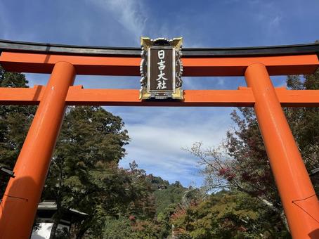 日吉大社 日吉大社,比叡山,大津市の写真素材