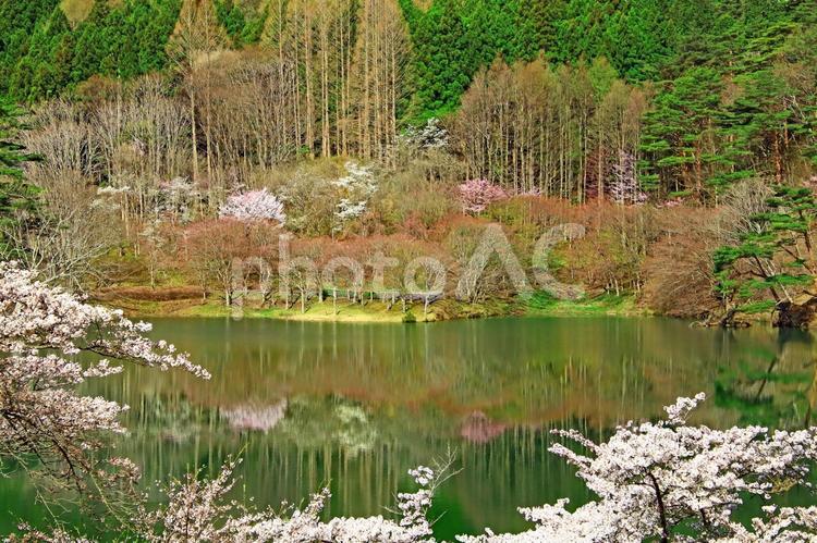 旅行や春の大自然のイメージ 旅,旅行,観光の写真素材