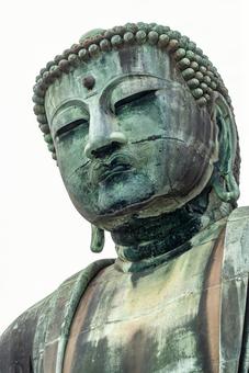 鎌倉 高徳院の大仏(神奈川) 鎌倉 高徳院の大仏(神奈川)の写真