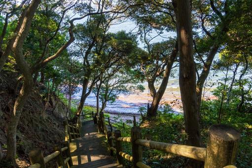 舘山寺温泉 秋のチャート海岸へ降りる階段 舘山寺温泉 秋のチャート海岸へ降りる階段 日本,静岡県,浜松市の写真素材