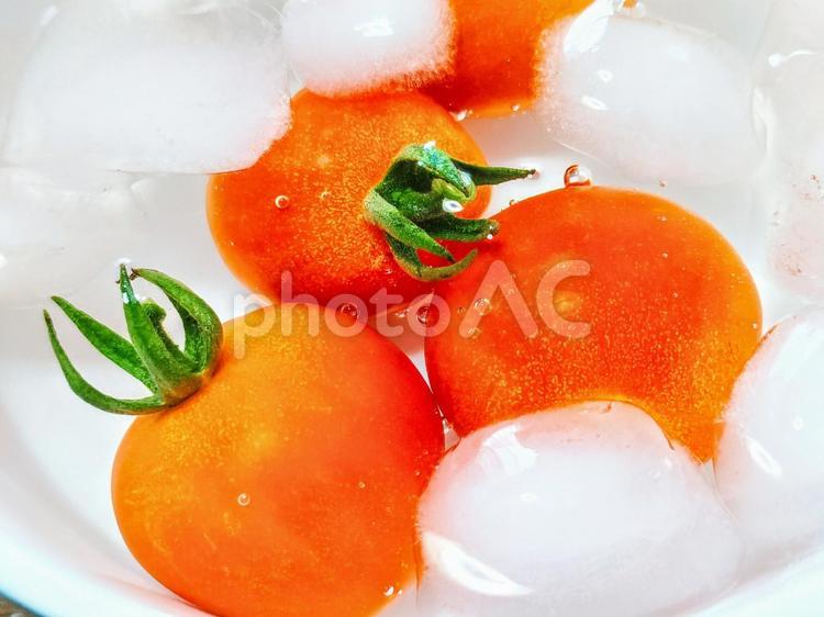 2025夏、収穫し氷水で食すミニ・トマト トマト,夏,氷の写真素材