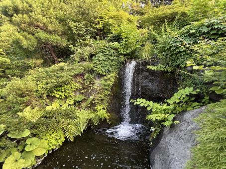 公園内の滝 天神山緑地,日本庭園,札幌の写真素材