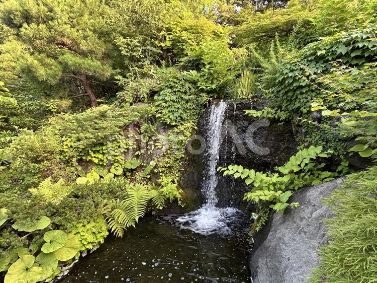 公園内の滝 天神山緑地,日本庭園,札幌の写真素材