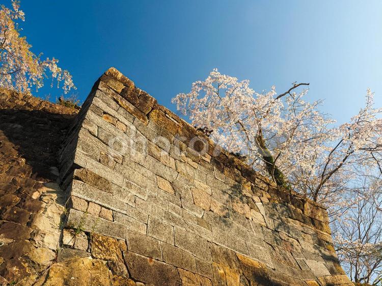 石垣のある風景 城,天守閣,石垣の写真素材
