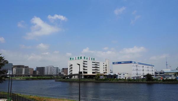 夢の島公園からの眺め・潮見の街(江東区) 夢の島公園からの眺め・潮見の街(江東区) 夏,夢の島公園,江東区の写真素材