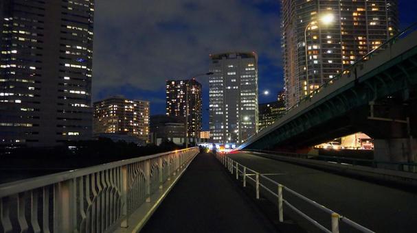 春海橋から見た豊洲の夜景(東京都) 春海橋から見た豊洲の夜景(東京都)の写真