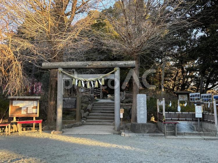 鎌倉　葛原岡神社　風景 鎌倉,葛原岡神社,風景の写真素材