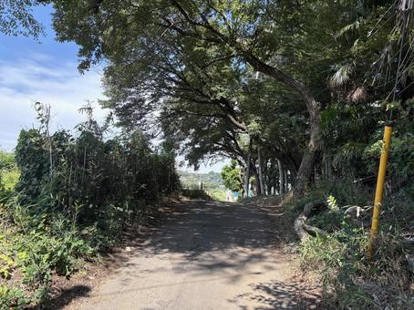 田舎道 田舎道 田舎,道,自然の写真素材