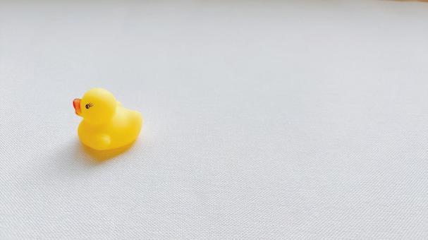 ひよこ(左横向き・1匹・よこ) ひよこ(左横向き・1匹・よこ)の写真