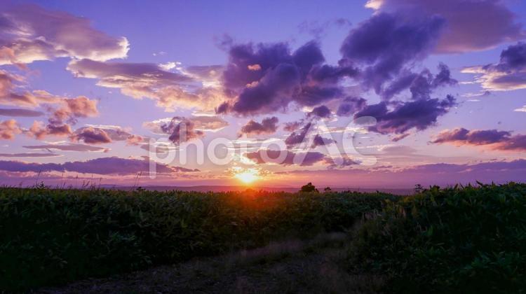 紫色の夕やけ 夕焼け,夕焼,夕日の写真素材