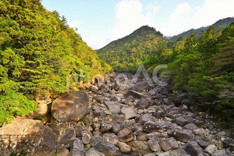 屋久島の巨大な大岩転がる河原 屋久島,河原,川の写真素材