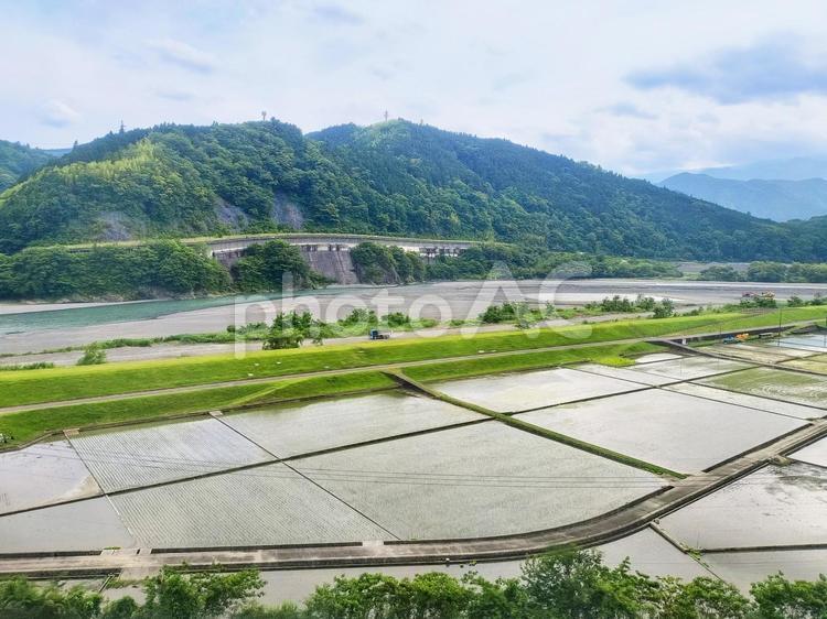 身延線車窓から富士川と山梨県の井出の水田 jr身延線,富士川,水田の写真素材