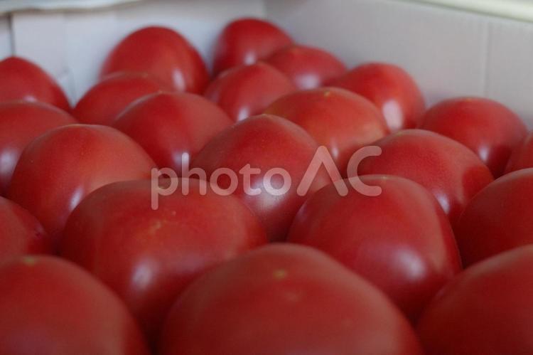 山積みのトマトのイメージ トマト,野菜,リコピンの写真素材