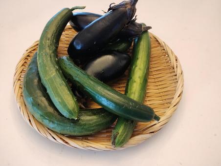 夏野菜 ナスとキュウリ 夏野菜 ナスとキュウリ 夏野菜,ナス,キュウリの写真素材