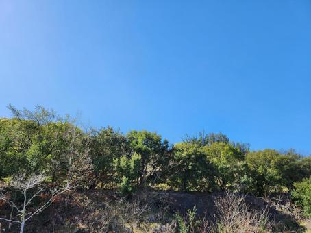 自然と空 自然と空の写真