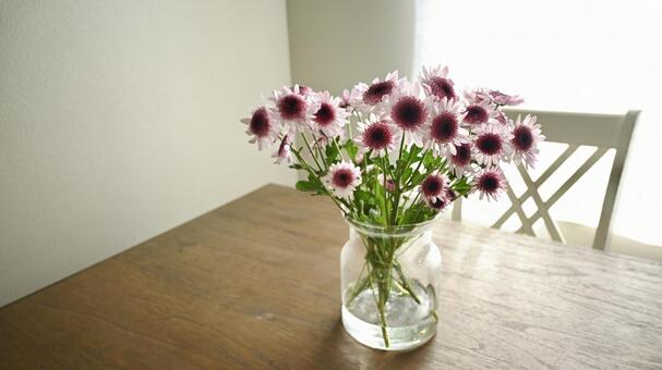 かわいいピンクの花 菊,花,スプレーマムの写真素材