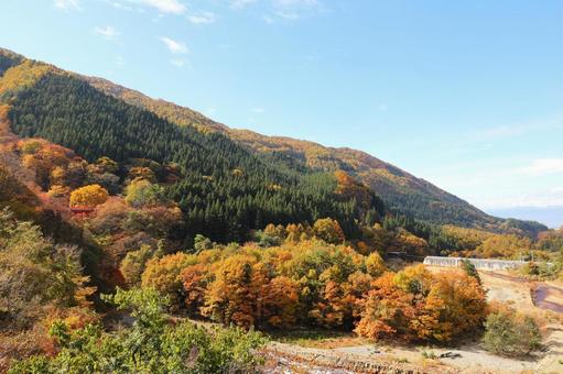 紅葉　松川渓谷 山,秋,風景の写真素材