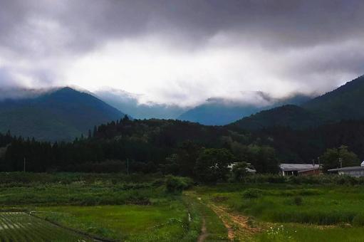 2025年6月の里山29 2025年6月の里山29 里山,水田,田んぼの写真素材