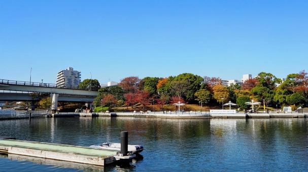 秋の新左近川の紅葉（江戸川区・葛西地区） 秋,紅葉,新左近川の写真素材
