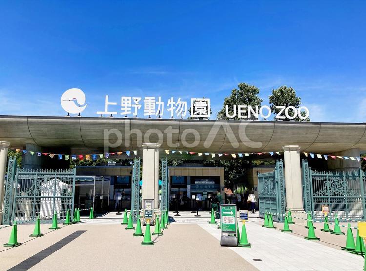 東京風景・上野公園 上野動物園,上野,動物園の写真素材